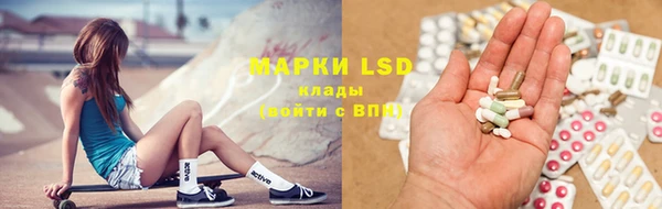 PSILOCYBIN Магас
