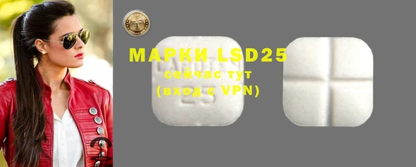 PSILOCYBIN Магас