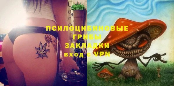 скорость Лиски
