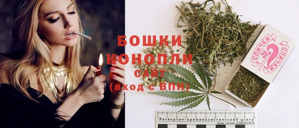 2c-b Вяземский