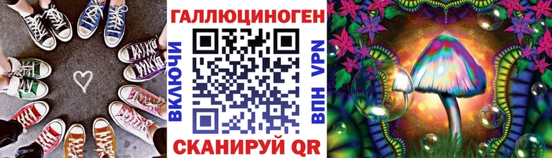 Галлюциногенные грибы Psilocybe  где найти наркотики  Мценск 