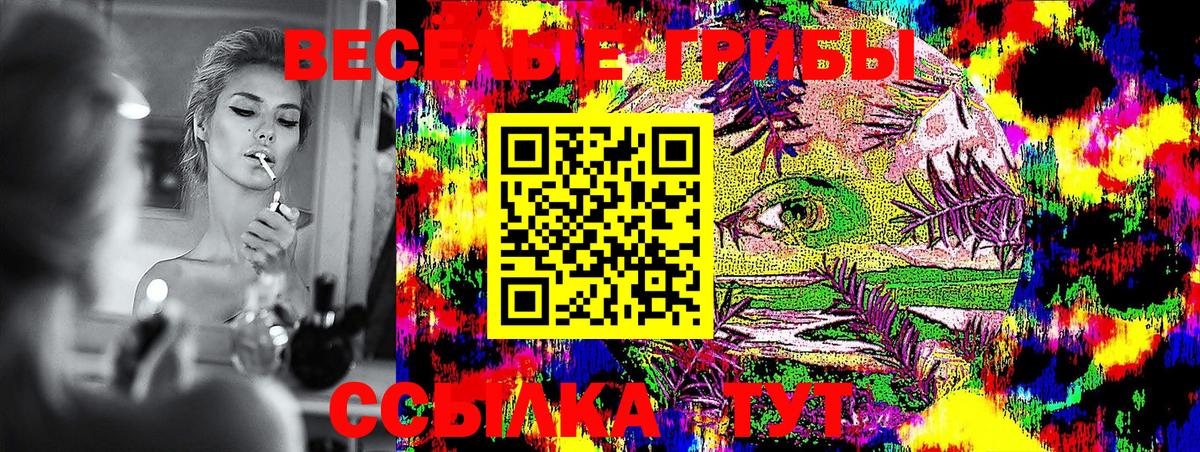 Мценск  Псилоцибиновые грибы ЛСД  Вход с VPN  Псилоцибиновые грибы ЛСД 