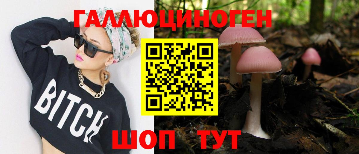 APVP Мценск