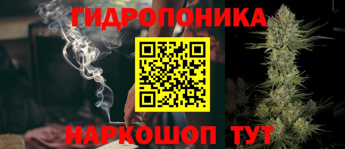 Марихуана OG Kush  Бошки марихуана семена  Вход с VPN  Мценск  Конопля гибрид  Бошки Шишки ГИДРОПОН 